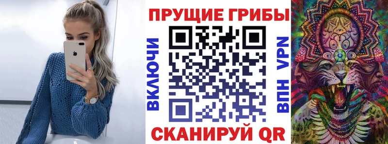 Псилоцибиновые грибы Magic Shrooms  кракен зеркало  Абинск 